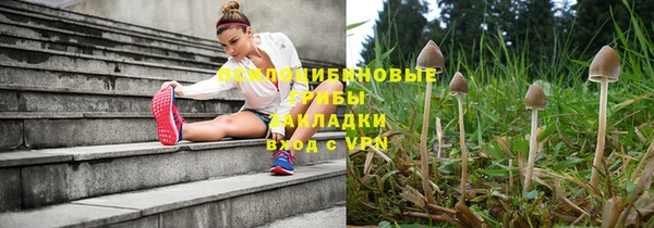 альфа пвп Осинники