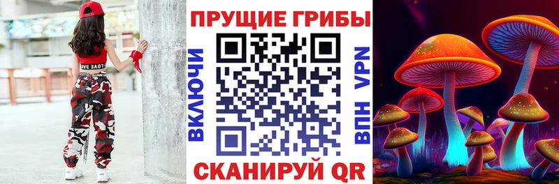 Купить  Александровск  Галлюциногенные грибы прущие грибы 