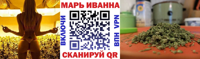 Купить закладки  Александровск  Марихуана сатива 